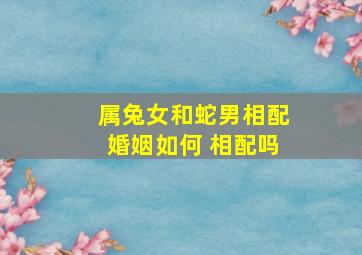 属兔女和蛇男相配婚姻如何 相配吗